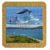 Tile 15cm in cork base