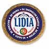 Magnetic stopper  Lidia