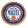 Magnetic stopper  Miguel