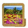 Tile 15cm in cork ba ...