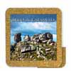 Tile 10cm in cork ba ...