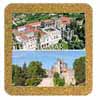 Tile 10cm in cork ba ...