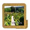 Tile 10cm in cork ba ...