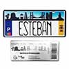 Plate Esteban