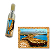 Magnetic in bottle f ...